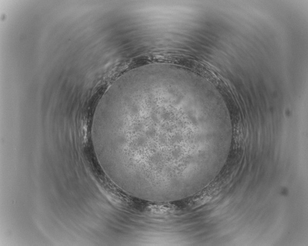 X0000087380703200705041945