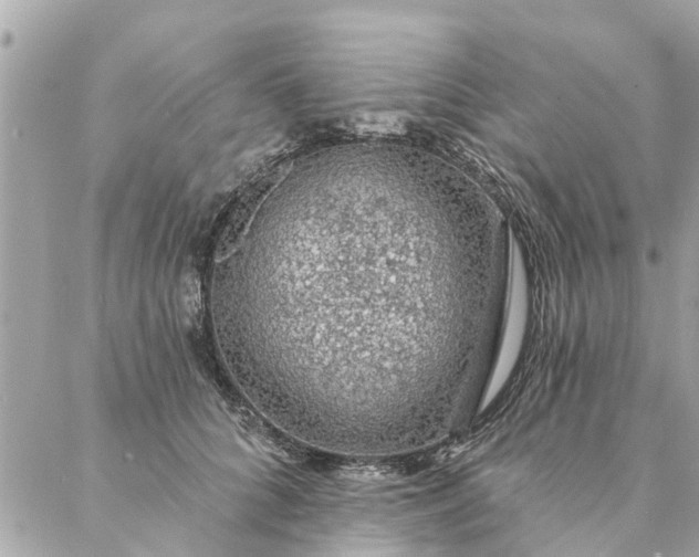 X0000087380704200705041945