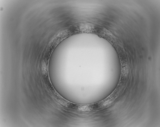 X0000087380705200705041945