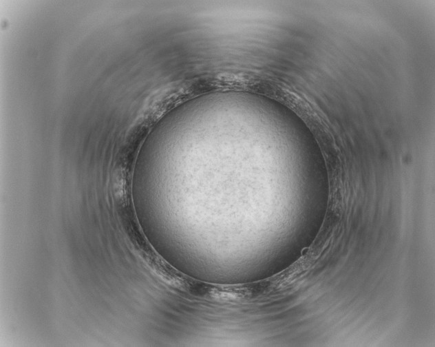 X0000087380706200705041945