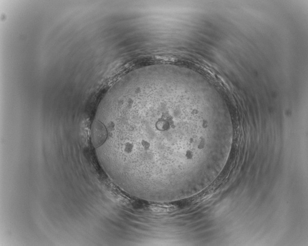 X0000087380707200705041945