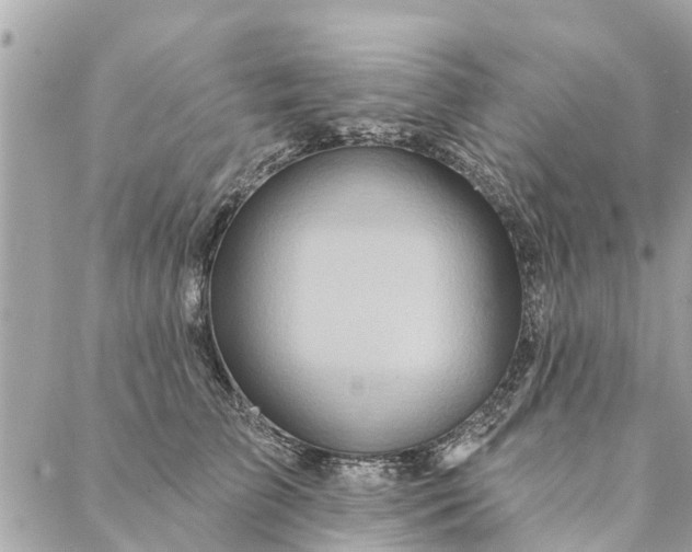 X0000087380709200705041945