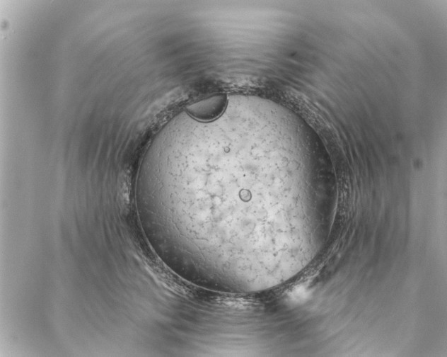 X0000087380710200705041945