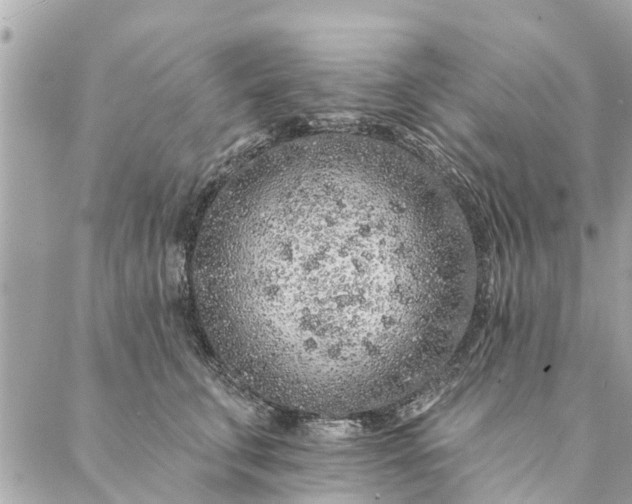 X0000087380711200705041945