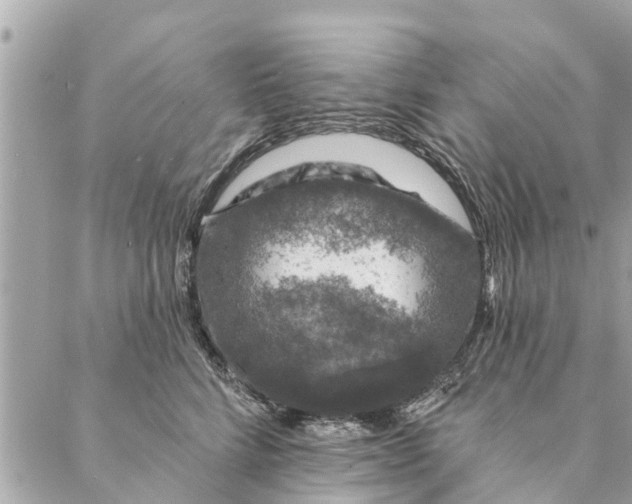 X0000087380712200705041945