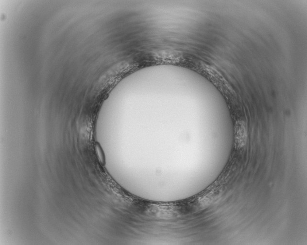 X0000087380713200705041945