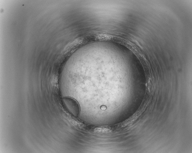 X0000087380714200705041945