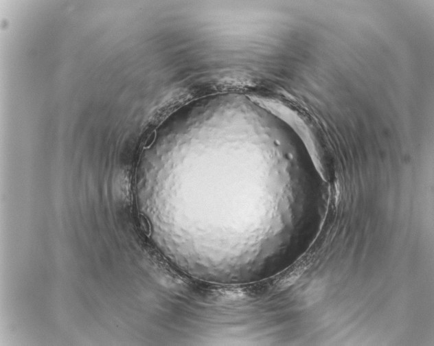 X0000087380715200705041945