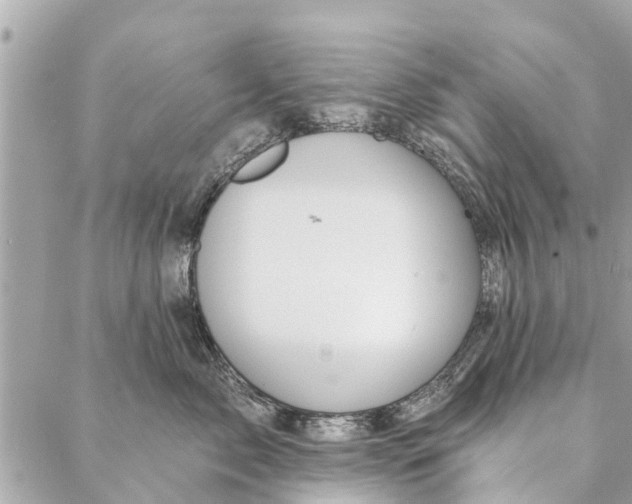 X0000087380717200705041945