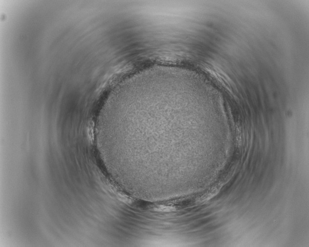 X0000087380718200705041945