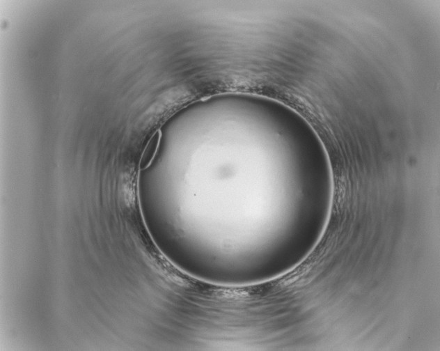 X0000087380719200705041945