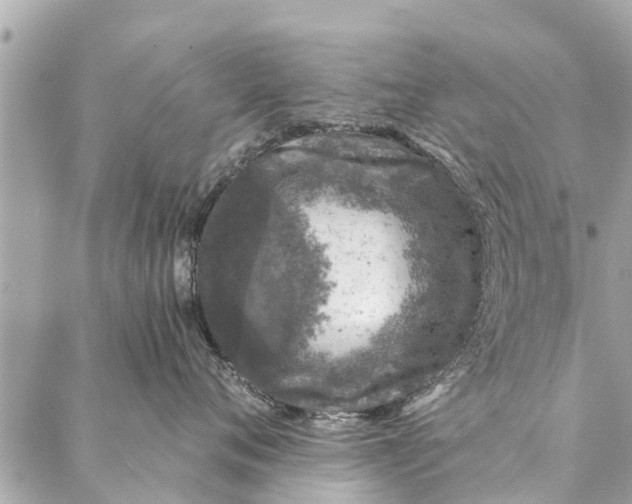 X0000087380720200705041945