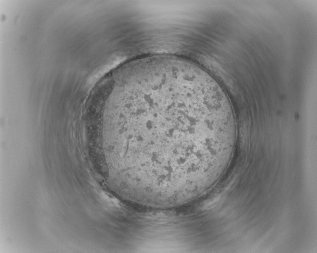 X0000087380721200705041944