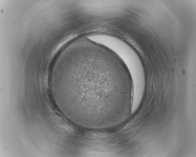 X0000087380722200705041944