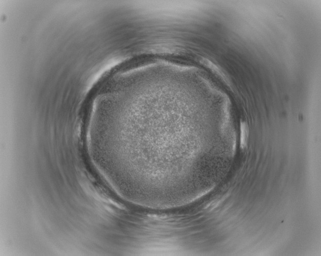 X0000087380723200705041944