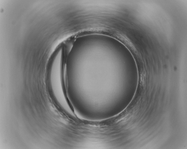 X0000087380724200705041944