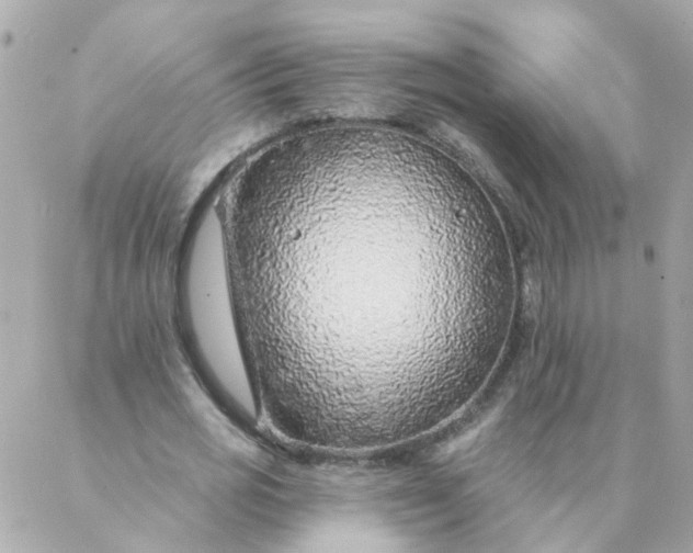 X0000087380725200705041944