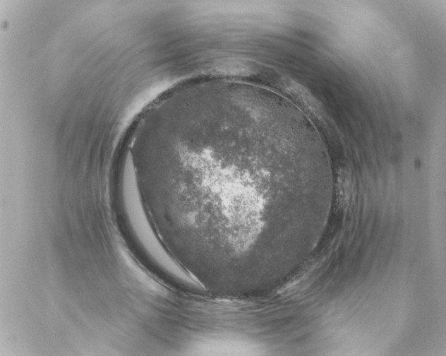 X0000087380726200705041944