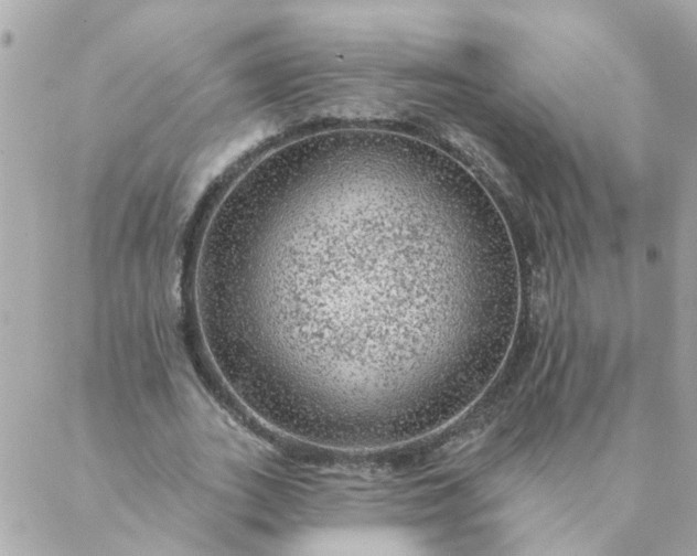 X0000087380727200705041944