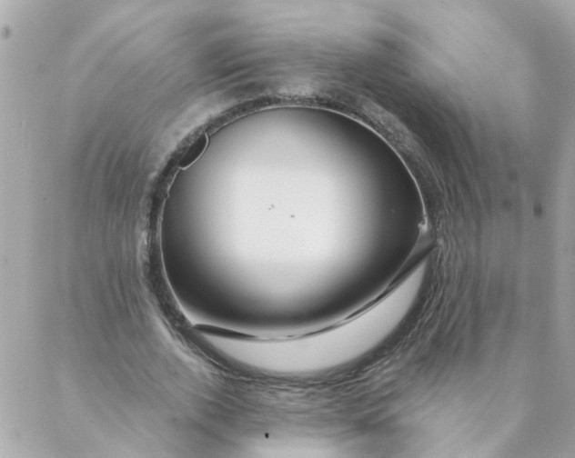 X0000087380728200705041944