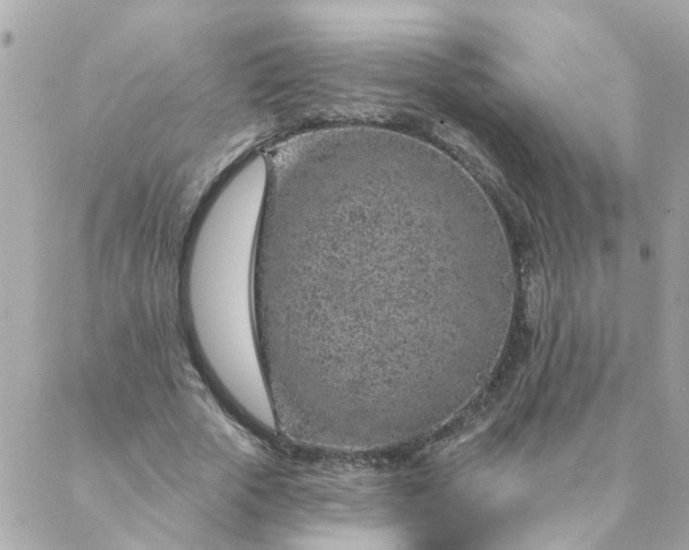 X0000087380729200705041944