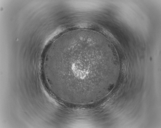 X0000087380730200705041944