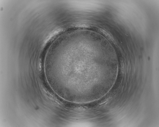 X0000087380731200705041944