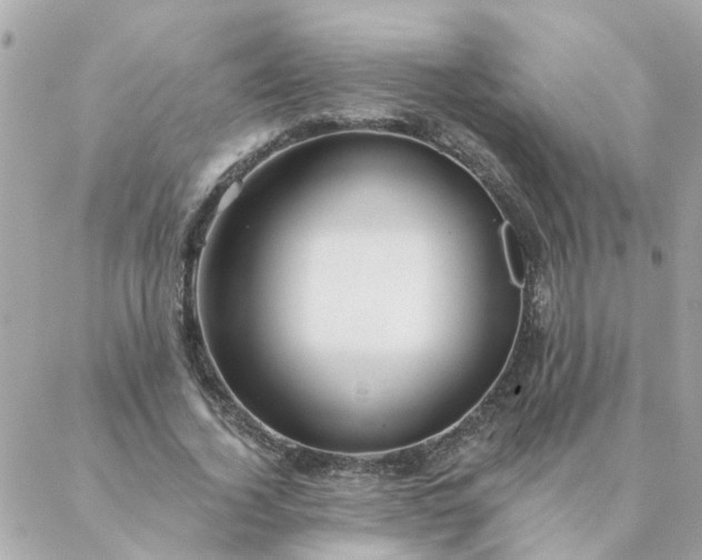 X0000087380732200705041944