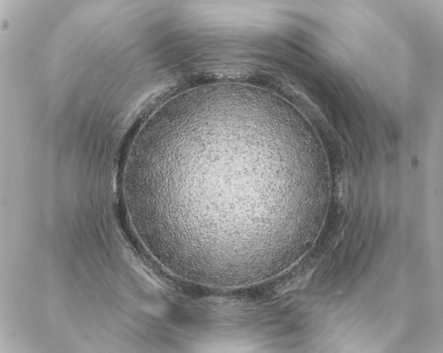 X0000087380733200705041945