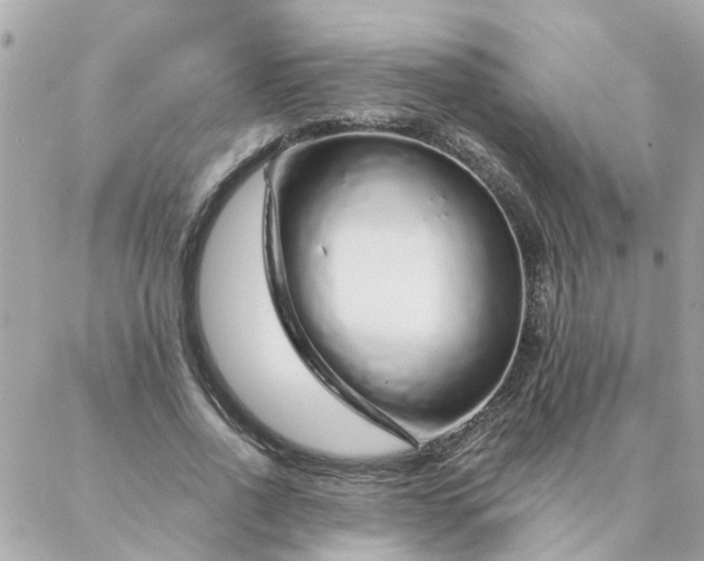 X0000087380734200705041945