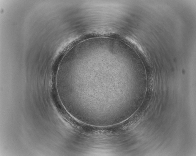 X0000087380736200705041945