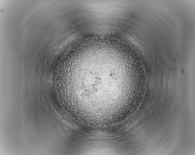 X0000087380737200705041945