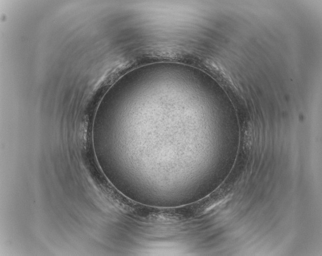 X0000087380739200705041945