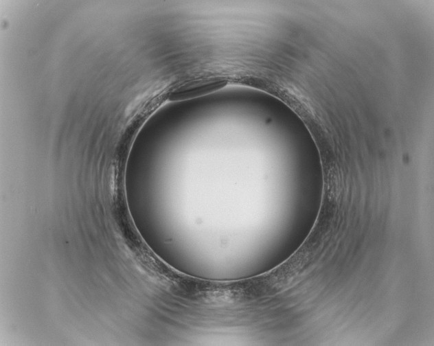 X0000087380740200705041945