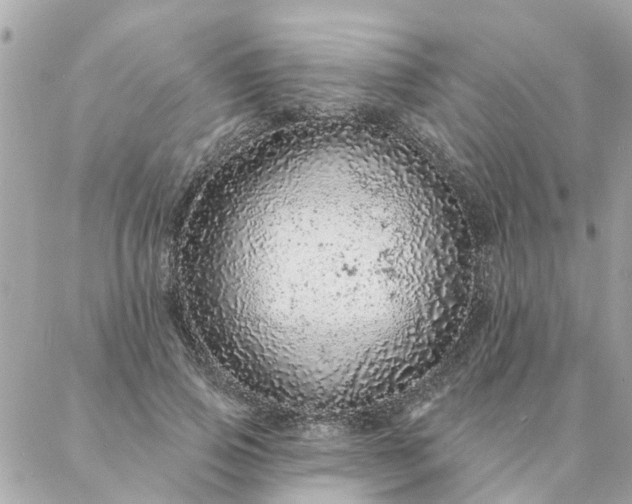 X0000087380741200705041945