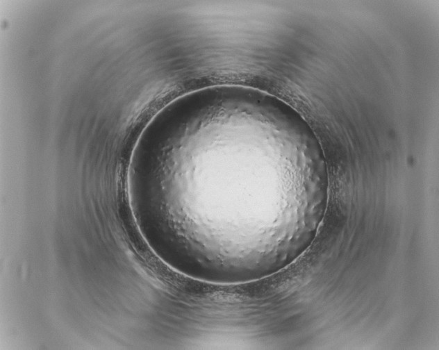 X0000087380742200705041945