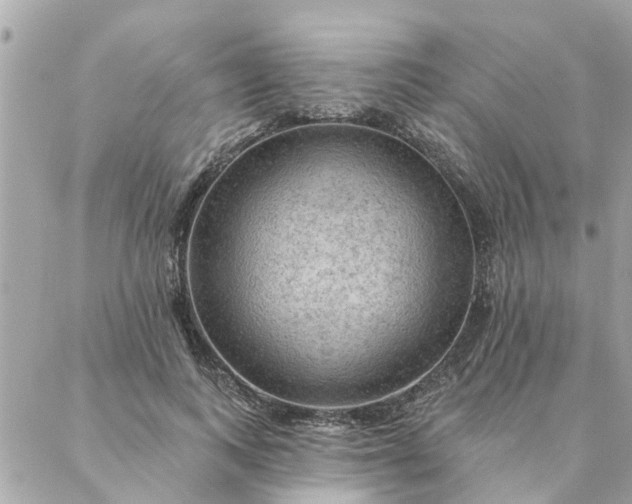 X0000087380743200705041945