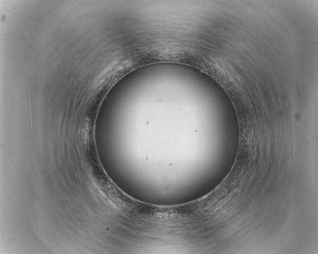 X0000087380744200705041945