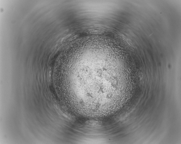 X0000087380745200705041945