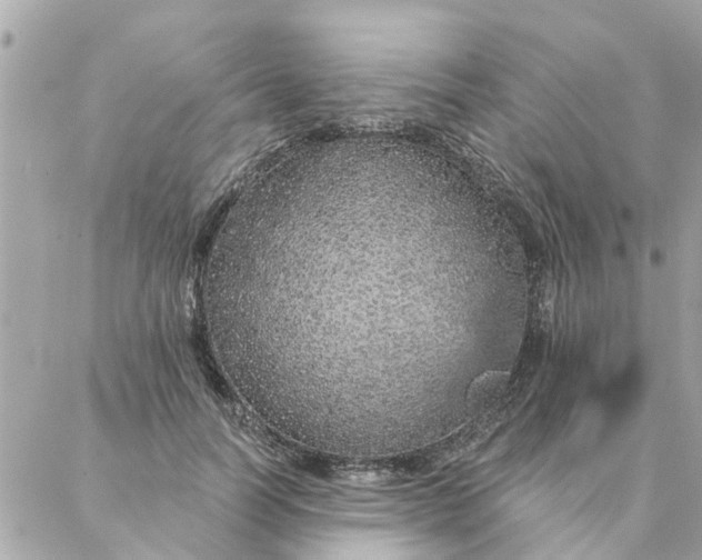 X0000087380746200705041945