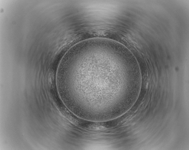 X0000087380747200705041945