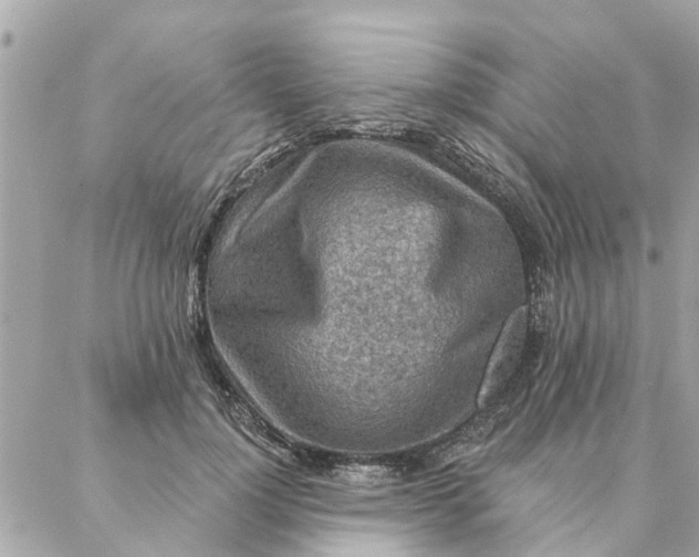 X0000087380748200705041945