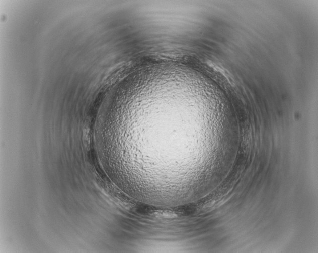 X0000087380749200705041945