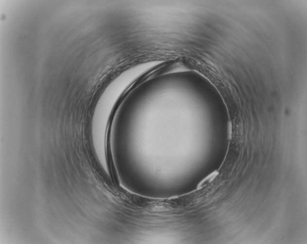 X0000087380750200705041945