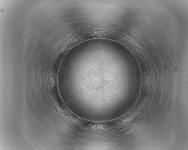 X0000087380751200705041945