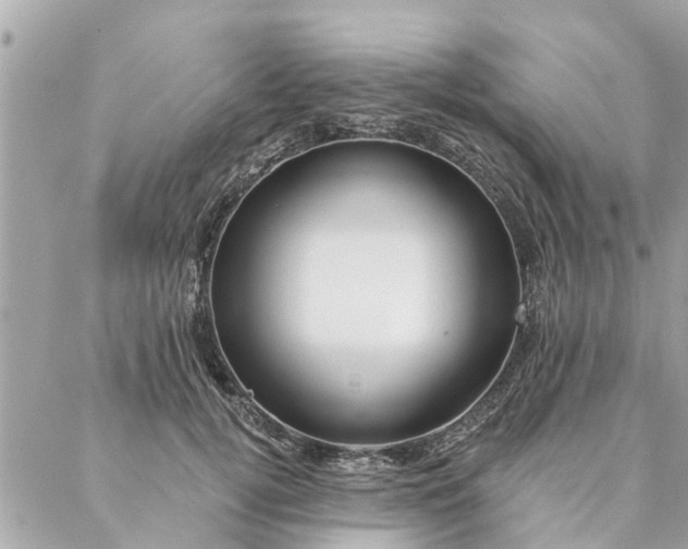 X0000087380752200705041945