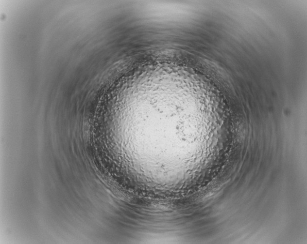 X0000087380753200705041945