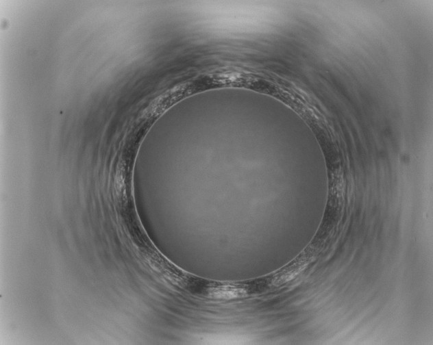 X0000087380754200705041945