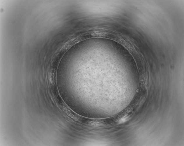 X0000087380755200705041945