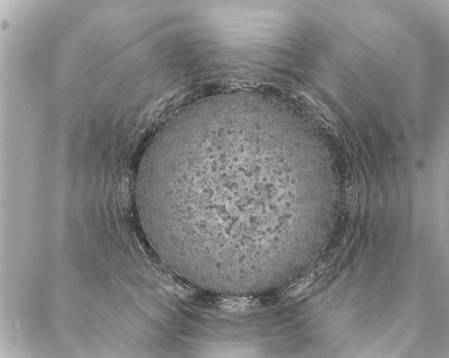 X0000087380757200705041945